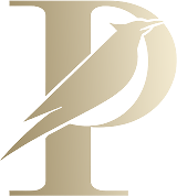 Paradyze