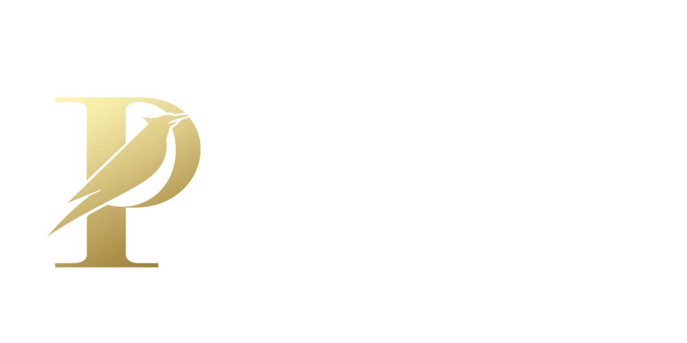 Paradyze Logo